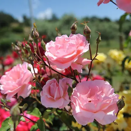 アパート Mythos ポトス