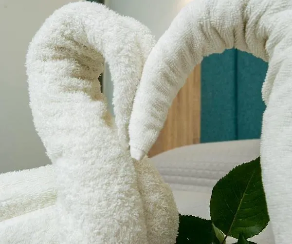 公寓 米索斯简易别墅公寓 *