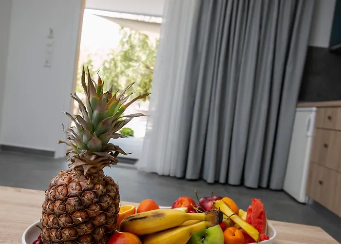 米索斯简易别墅公寓 公寓