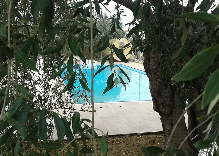 公寓 米索斯简易别墅公寓 *